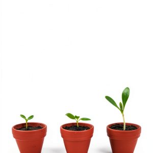 Future Horizons Education Kindle eBook on Developmental Disabilities-0